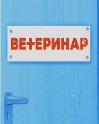 Ветеринар (2021) смотреть онлайн